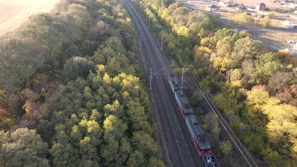Railroad and train in autumn forest