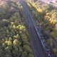 Railroad and train in autumn forest - VideoHive Item for Sale