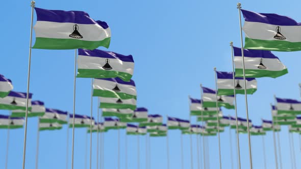 Lesotho Row Of National flags Walk Throw Animation