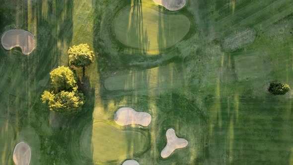 Aerial descending on a green golf playground with trees and sand bunkers at golden hour. Top down.