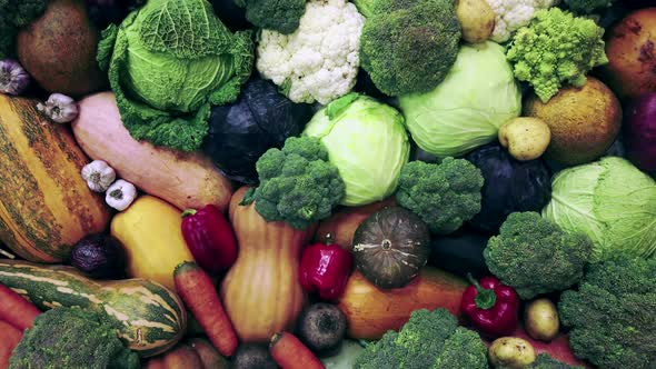 Autumn Harvest of Different Vegetables and Root Crops. Background of Vegetables.