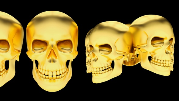 Gold Skull - 2 Pack Loop
