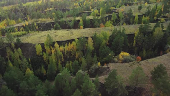 Aerial view of wild ravines overgrown with trees.