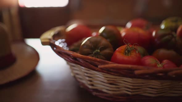 Ripe tomatoes in wicker basket on table