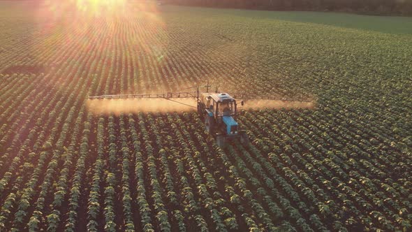 Aerial View of Farming Tractor Spraying on Field with Sprayer, Herbicides and Pesticides at Sunset