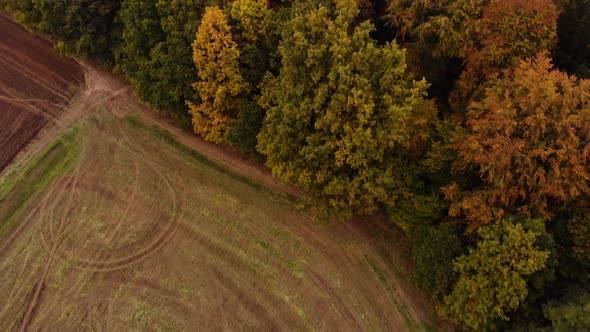 fields and autumn park forrest from above 