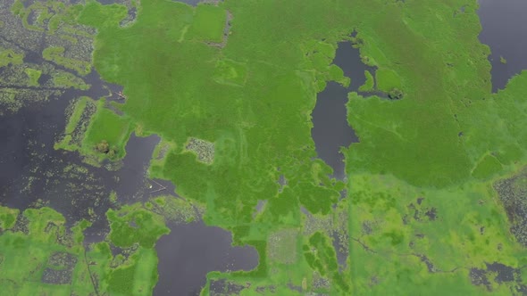 Aerial view of a small fishing boat sailing in a swamp, Dhaka, Bangladesh.