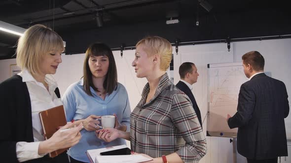 Woman Talking About New Business Project on Seminar in Company