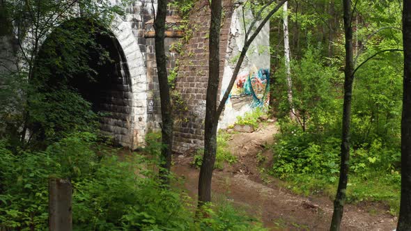 The Car Drives Into a Tunnel in the Forest