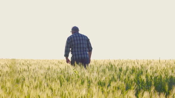 Man Strolling in Agricultural Field