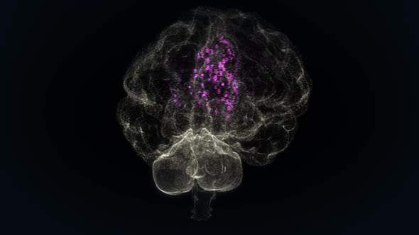 Colorful binary digits representing biochemical processes in the human brain.