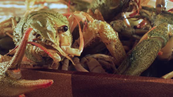 Live Crayfish on a Wooden Table