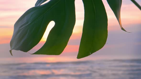 Tropical Beach at Beautiful Sunset