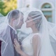 Wedding Couple on the Nature - VideoHive Item for Sale