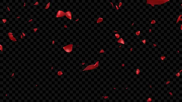 Petals Rose Falling alt