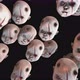 4K Robot baby doll heads space - VideoHive Item for Sale