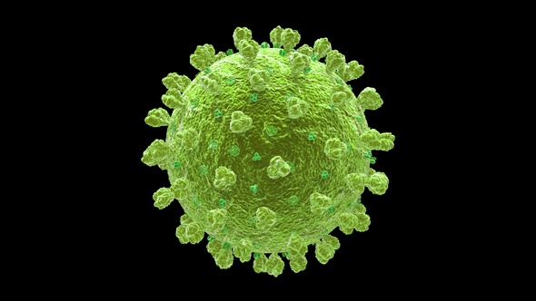 Coronavirus Covid 19 Cell V14 alt