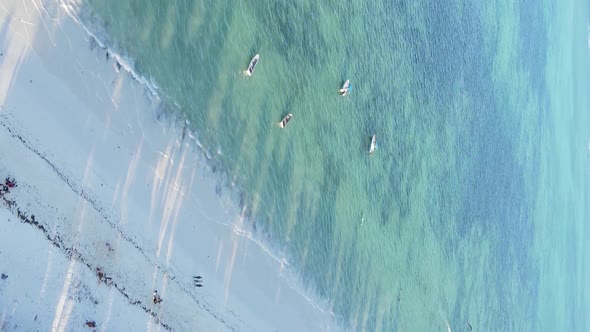 Vertical Video of the Coast of Zanzibar Island Tanzania Slow Motion