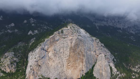 Rock ShaanKaya with Sheer Walls and Overgrown with Coniferous Forest Crimea