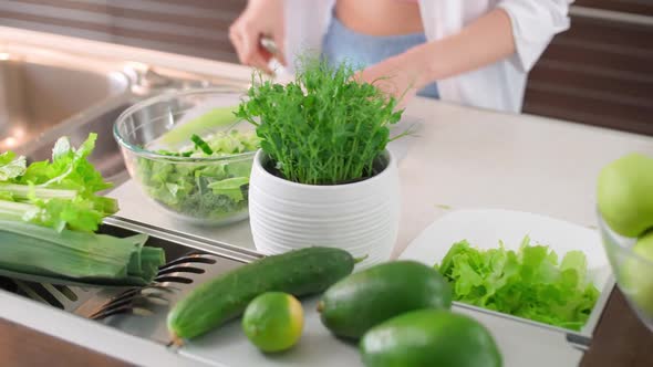 Making Smoothies Female Prepares a Salad in the Kitchen Cuts Herbs and Green Vegetables to Make a