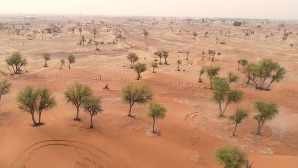 Aerial view of group practicing motocross on desert landscape, U.A.E.