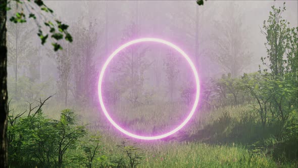 Glowing Neon Pink Circle Light in the Rainy Forest
