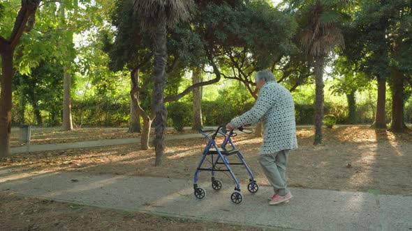 Greyhaired Woman Walks Along Road of Park with Rollator