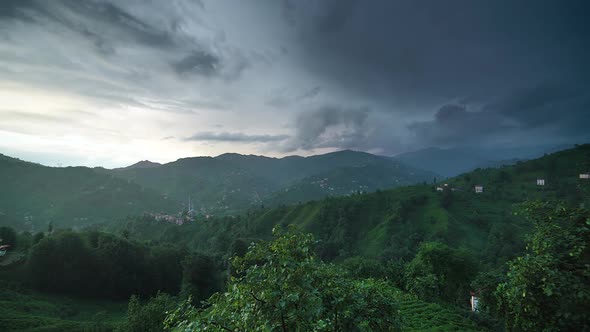 8K Tea Plantations in Rural Pakistan