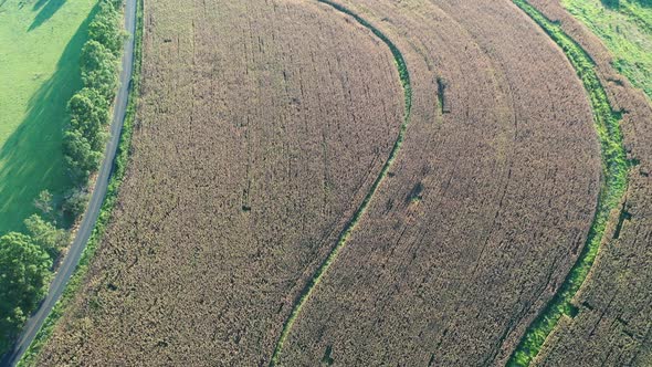 Rural landscape aerial view. Nature scenery