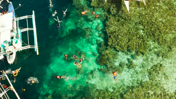 Tourists Snorkeling in Coral Reef Moalboal Philippines