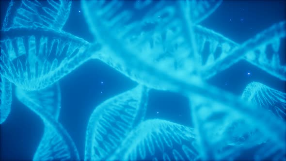 Structure of the DNA Double Helix Animation