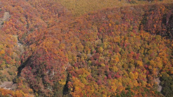 Autumn Aerial View