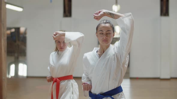 Front View of Martial Artsists Demonstrating Defending Poses