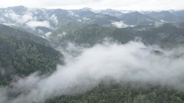 Ukraine, Carpathians: Fog in the Mountains. Aerial. Gray, Flat