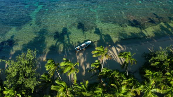 Boat anchored on a exotic beach with lush palm treesing in the wind, aerial