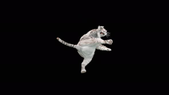 15 White Tiger Dancing 4K