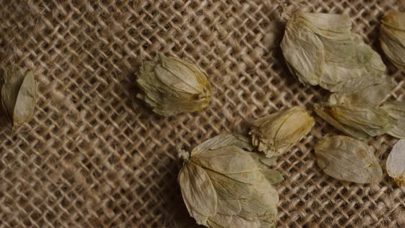 Rotating shot of barley and other beer brewing ingredients - BEER BREWING 253