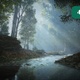 Calm River in Forest - VideoHive Item for Sale