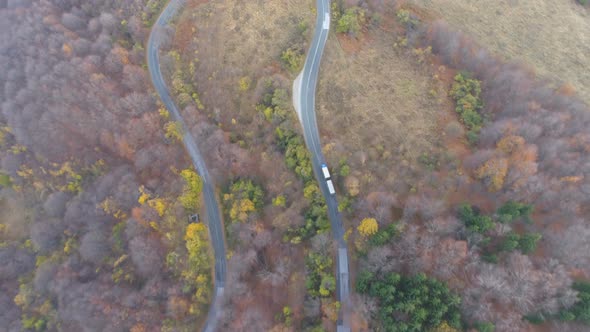 Truck Passing on Road Trough a Forest, Aerial View of Truck and Cars Driving on Road