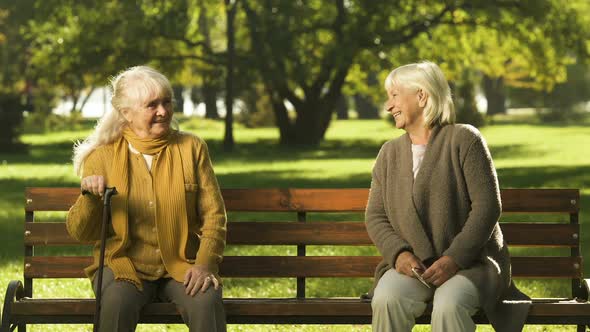 Old Lonely Lady Missing Her Good Friend, Sitting in Park, Unhappy Pensioner