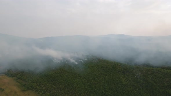 Mountain Forest Fire