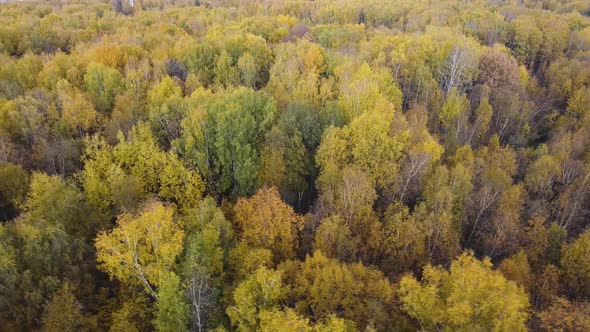 A drone flies over the autumn forest. Autumn in central Russia. The view from the height.