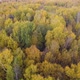 A drone flies over the autumn forest. Autumn in central Russia. The view from the height. - VideoHive Item for Sale