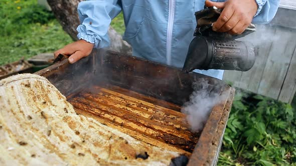 Closeup View of Beekeeper Using a Smoker to Calm Down the Bees