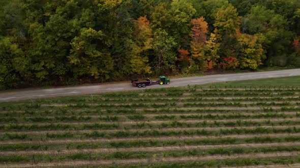 Aerial view of a tractor driving along the vineyard