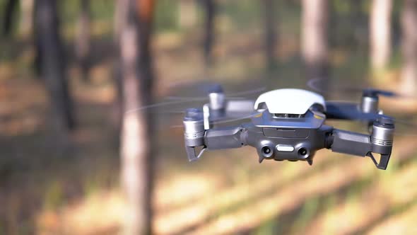 Drone with a Camera Hovers in the Air Above the Ground in the Forest. Slow Motion