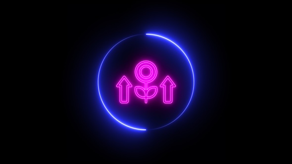 Colorful Neon Investment Icon