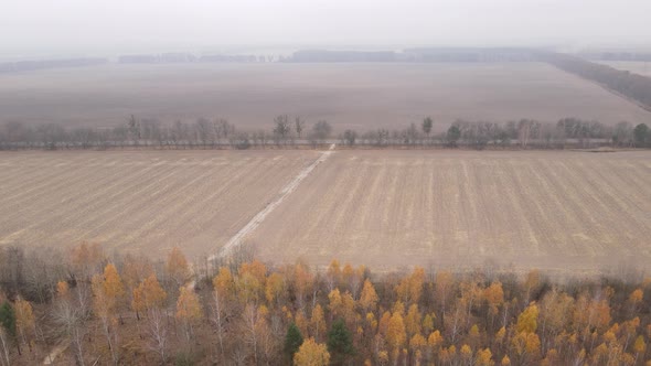 Empty Plowed Field in Autumn Aerial View