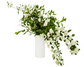 Bouquet of flowering twigs spirea in a vase, isolated on white background - PhotoDune Item for Sale