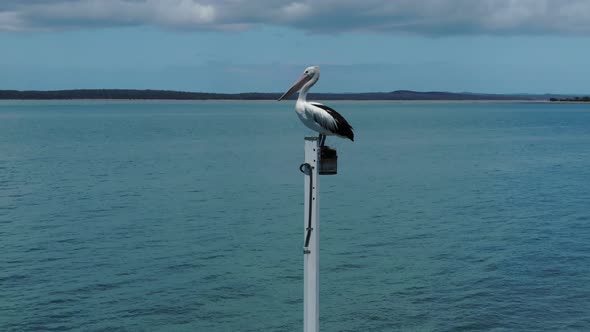 Pelican perched on Urangan pier lamp with sea in background, Hervey Bay in Queensland, Australia. Ae